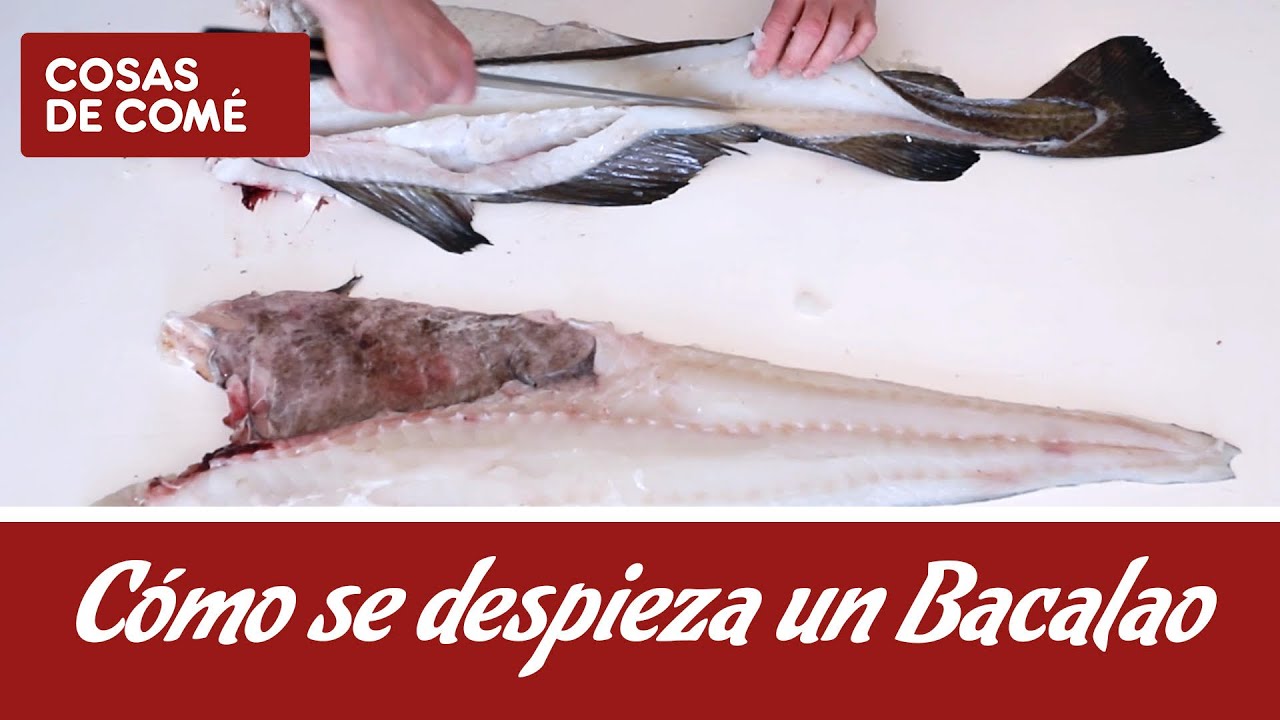 Despiece del bacalao: Las distintas partes del pescado y sus usos en cocina