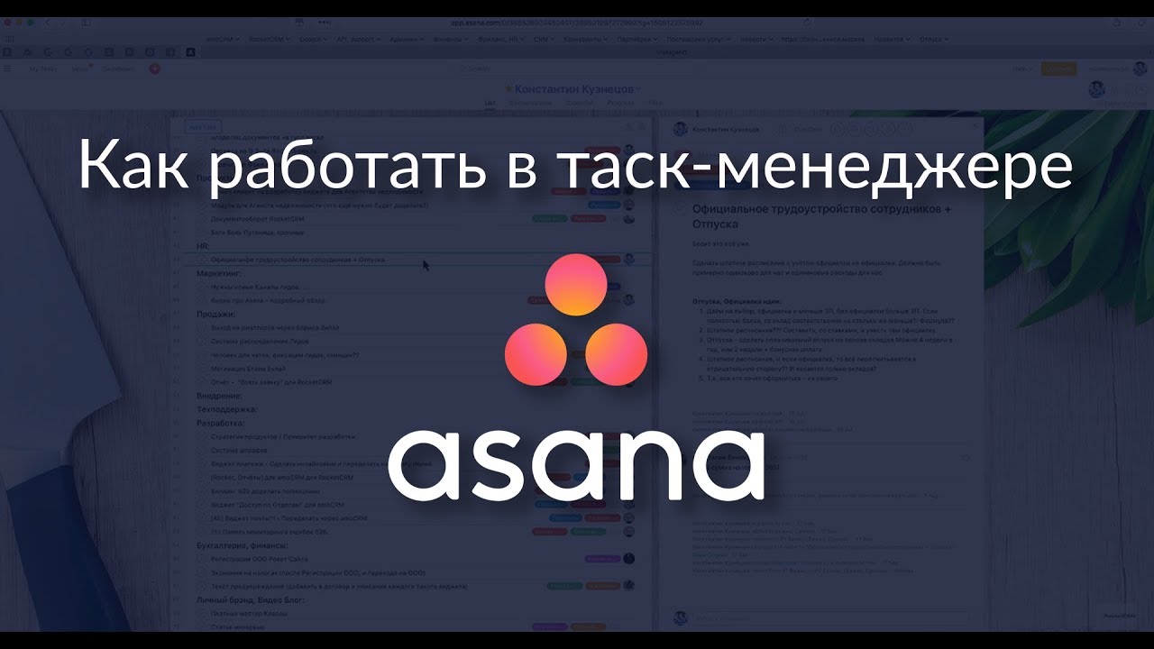 Управление проектами в Asana: подробный обзор таск-менеджера