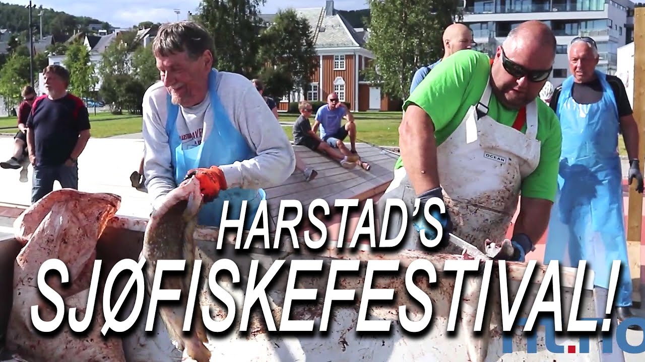 Harstad Sj&oslash;fiskefestival er en gammel &aring;rlig tradisjon - Irene rundtomkring (Harstad Tidende)