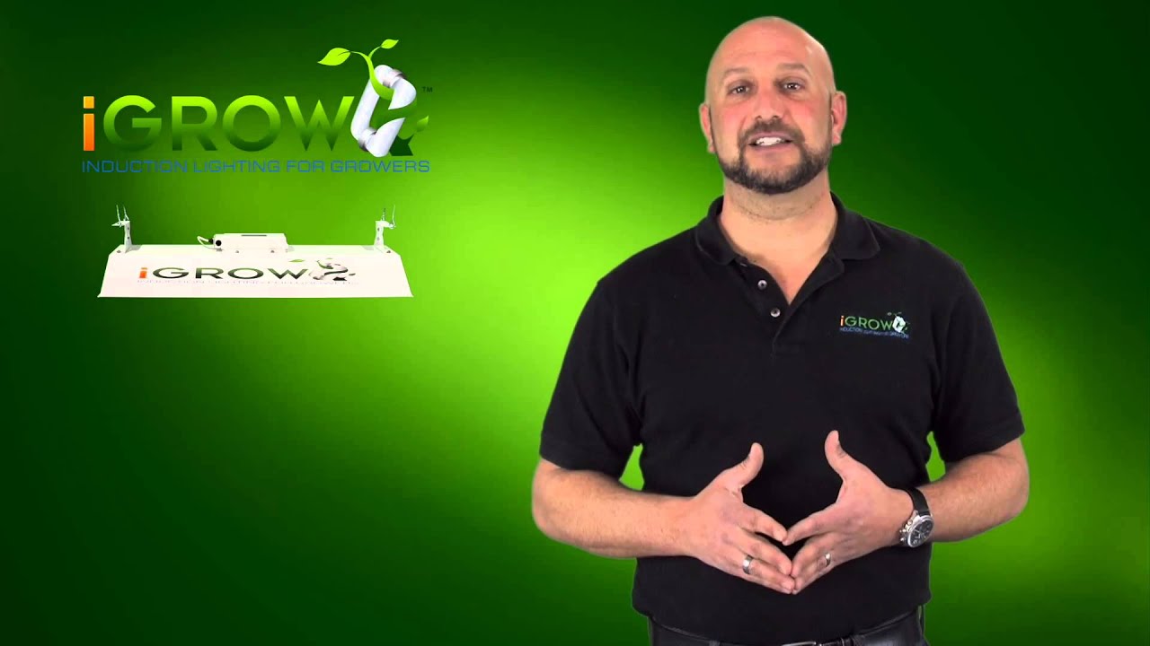 How to pick the best light for indoor growing at home
