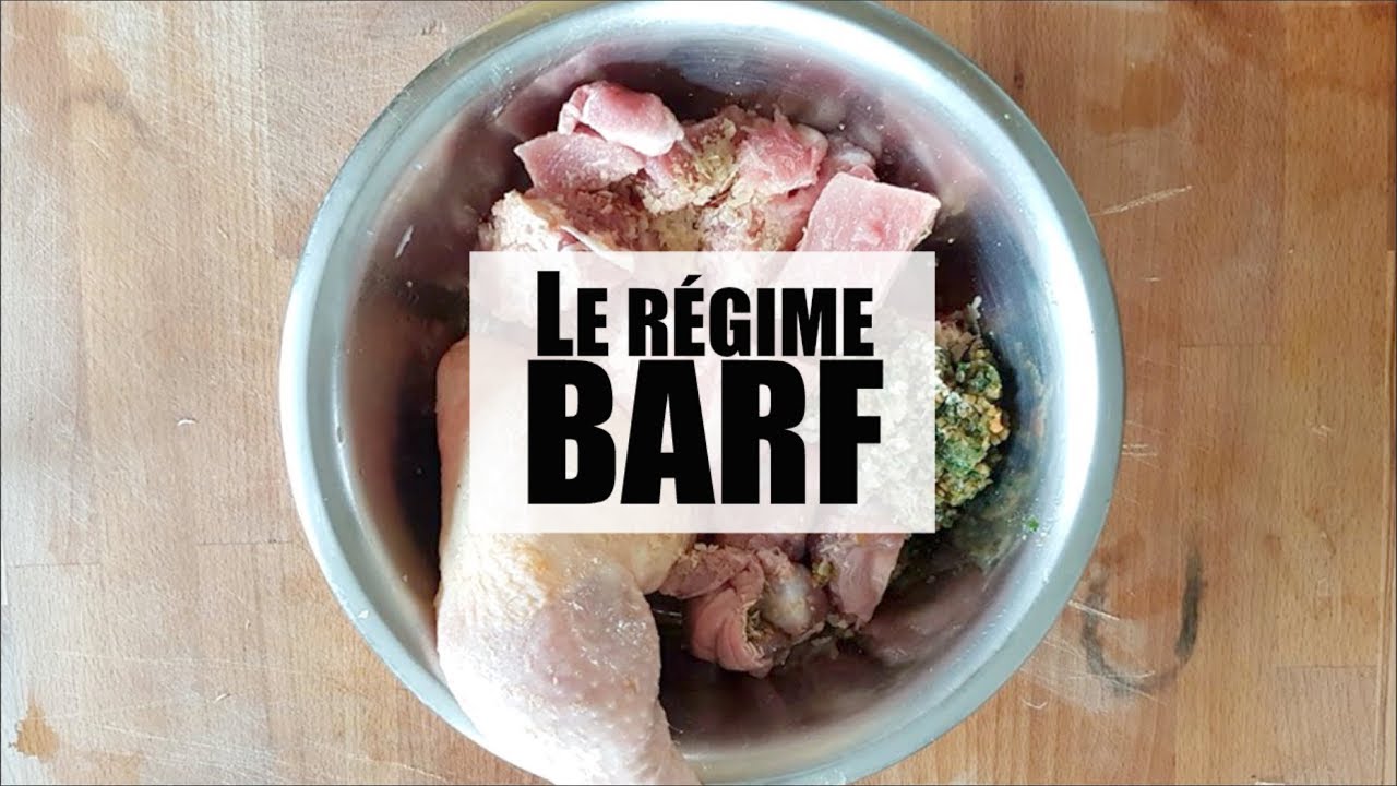 Le BARF | Meilleure régime pour chiens & chats ?