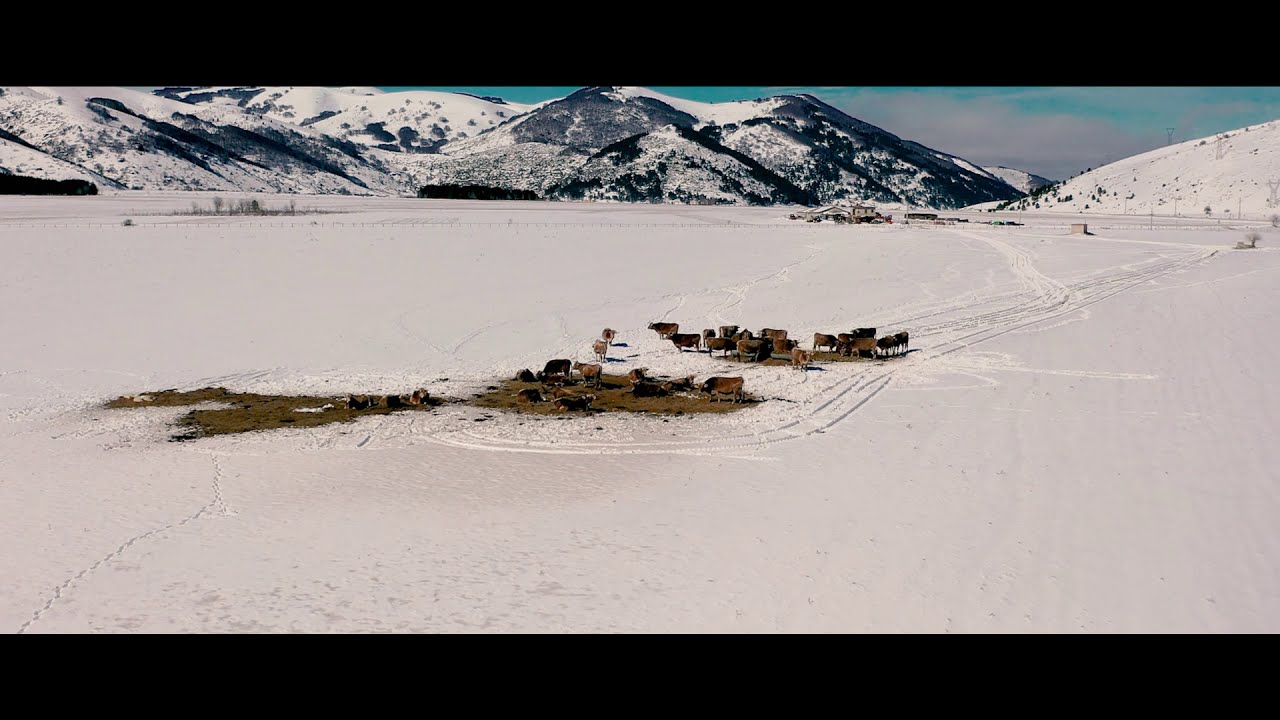 Winter 2021 Cinematic drone footage