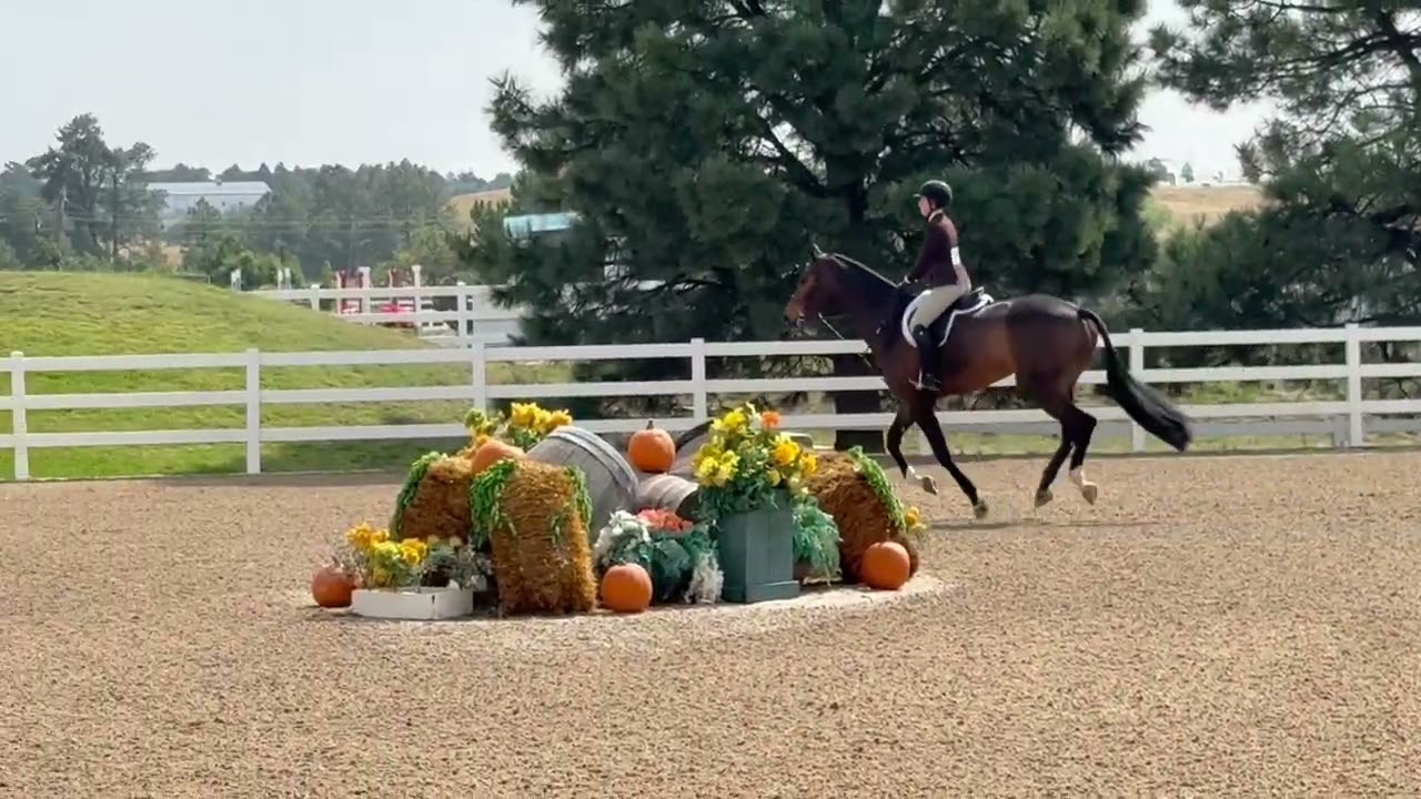 Salinero 09/07/2025