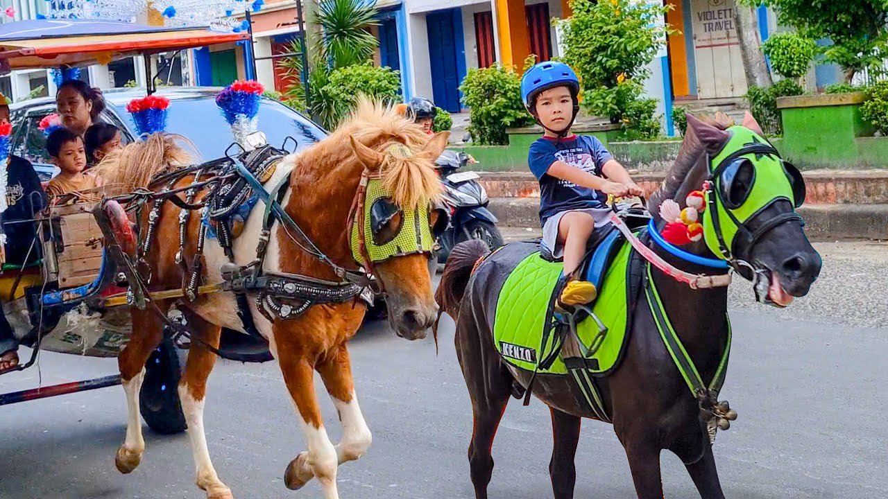 NAIK DELMAN ISTIMEWA 🐎 LAGU ANAK ANAK - KUDA DELMAN