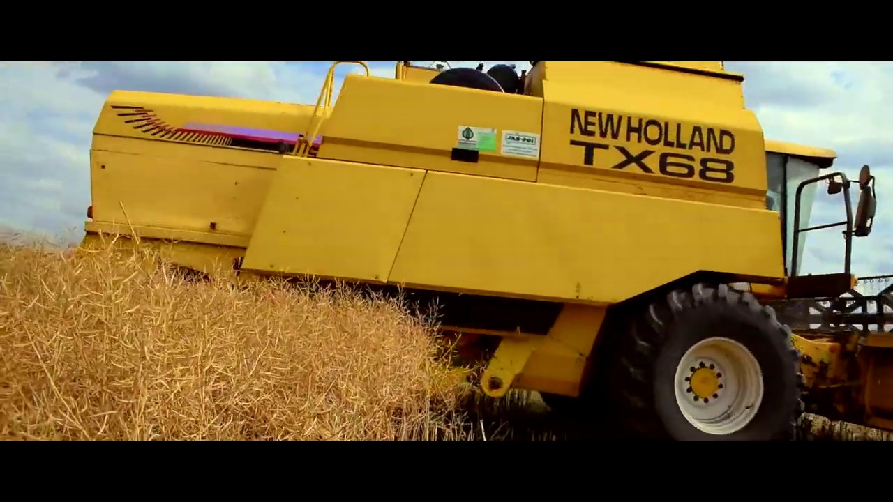 ★ Żniwa 2019★ Rzepak w GR Panicz★ NEW HOLLAND TX68 i Claas Arion 620c★Dziki w polu :D★