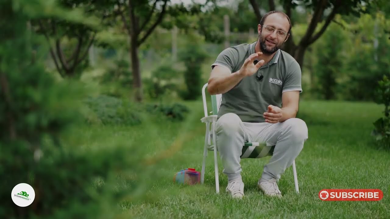 Diferențe de culoare în gazon vara. Care e principala cauză? semintegazon.ro