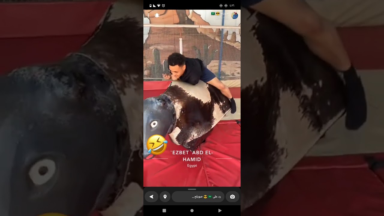 بوريان| دريم بارك