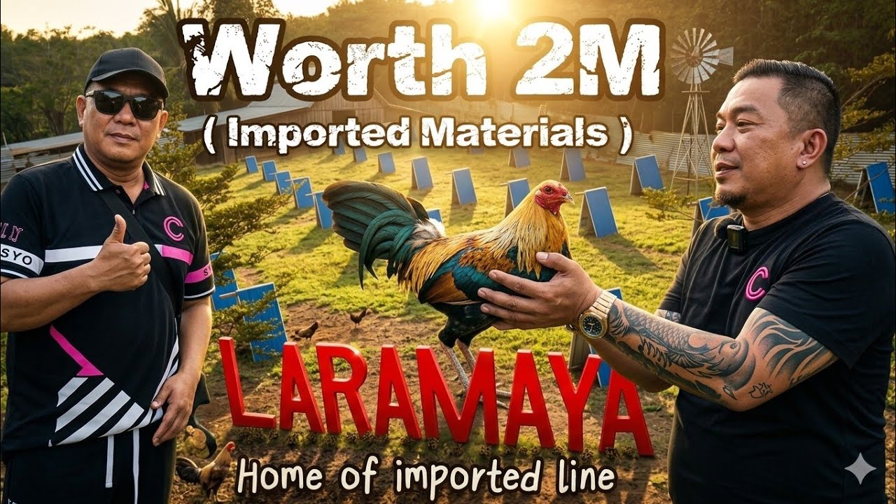 Worth 2M imported Materials | New Arrival | Laramaya Game Farm | San Pascual Batangas