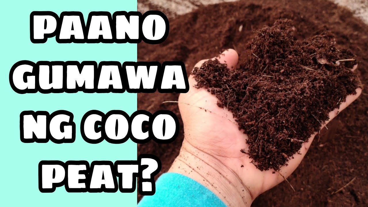 Paano Gumawa ng COCO PEAT? (How to make a cocopeat?)