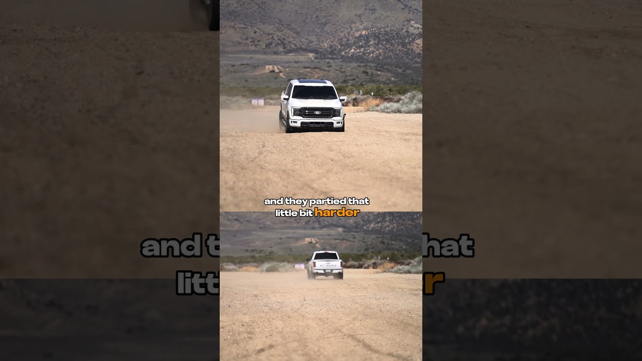EIBACH VS BILSTEIN 