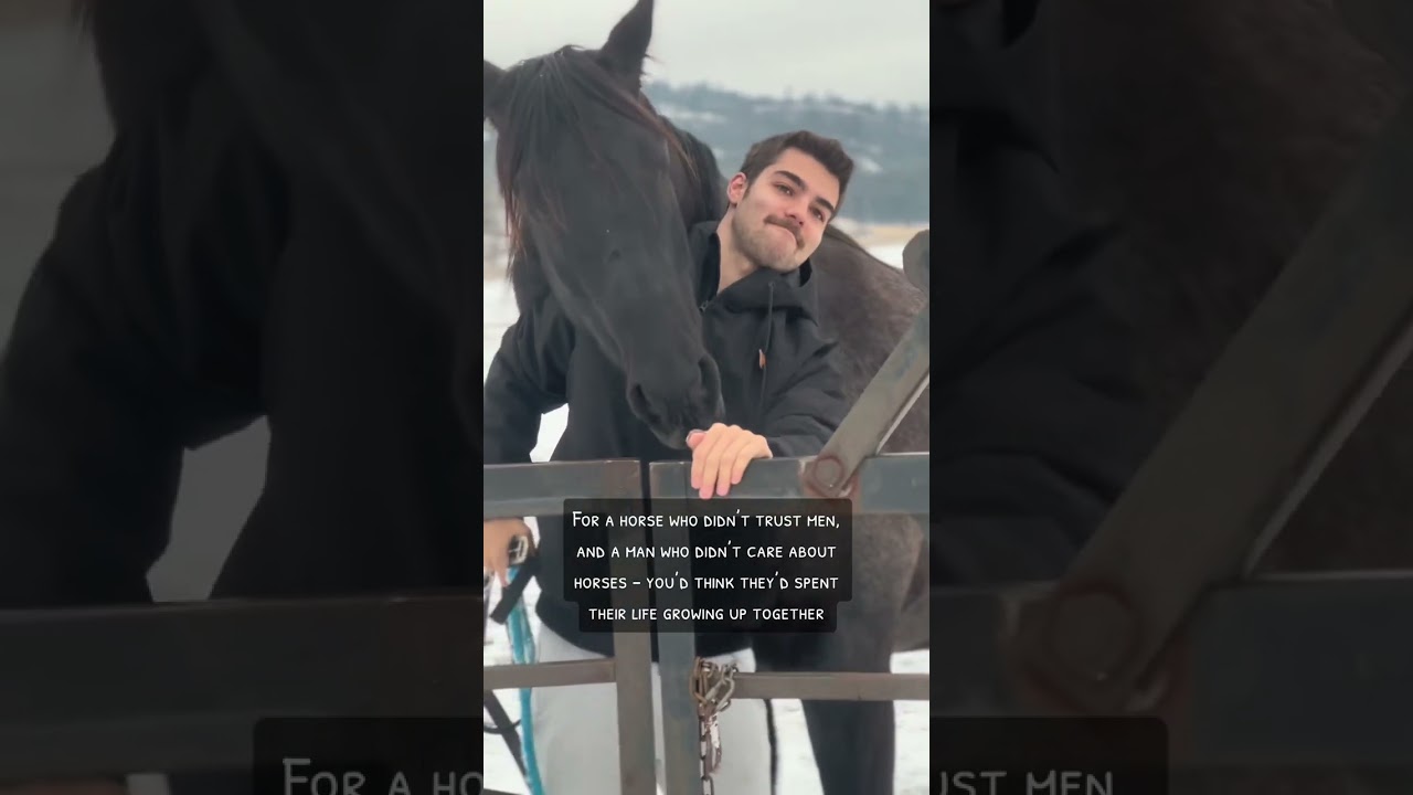 How guy who didn’t care about horses & the gelding who didn’t trust people came to be the best buds