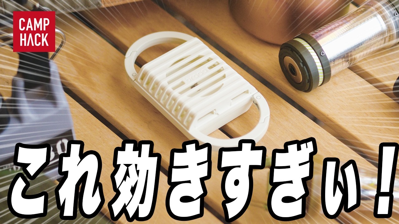 今年は