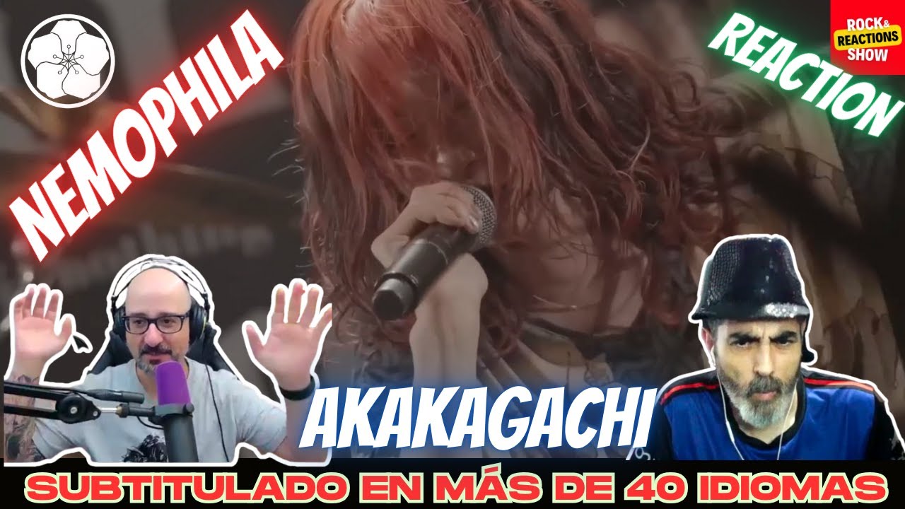 NEMOPHILA Reaction - 赤加賀智 - AKAKAGACHI | React | Reacción |  反応 | Rock and Reactions