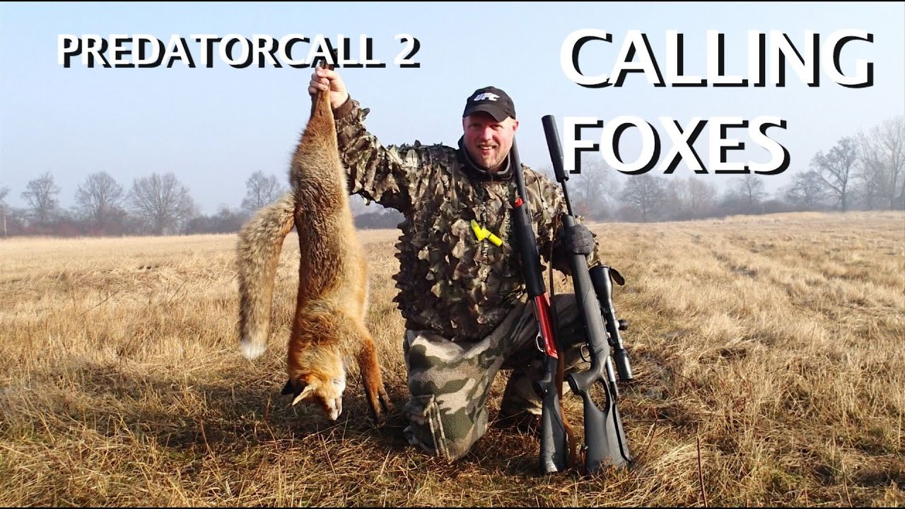 Kristoffer Clausen calling foxes, Predatorcall 2