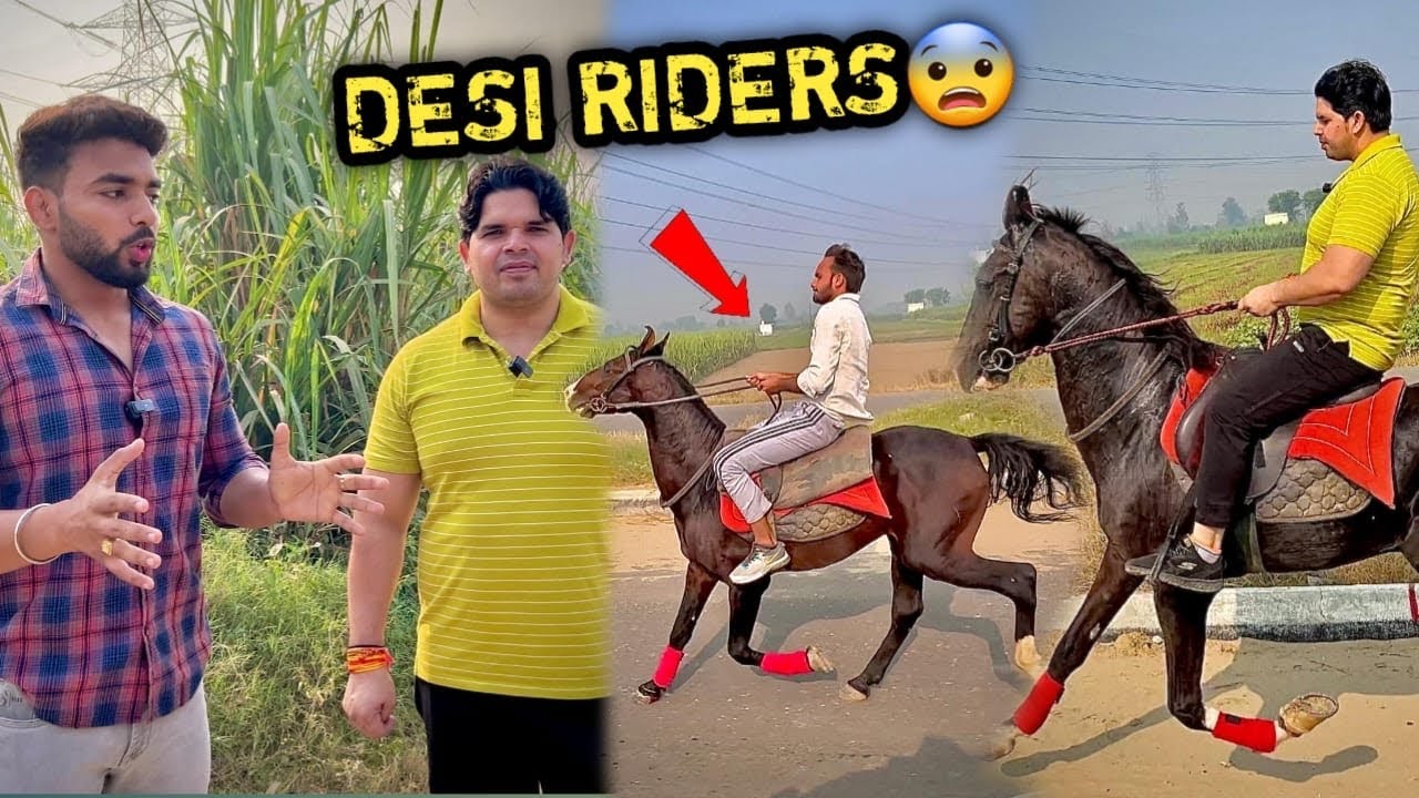 PEHELWAN Farms Pr Desi RIDERS Ne Aa Kr Dono GHODO Ko तूफ़ानी Speed Pr दोड़ा Diya😰Kisne Zyada दौड़ाया