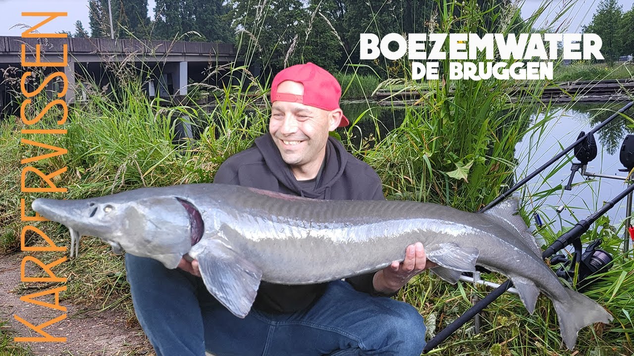 Boezemwater #6 - DE BRUGGEN - VISSEN op het grote water.