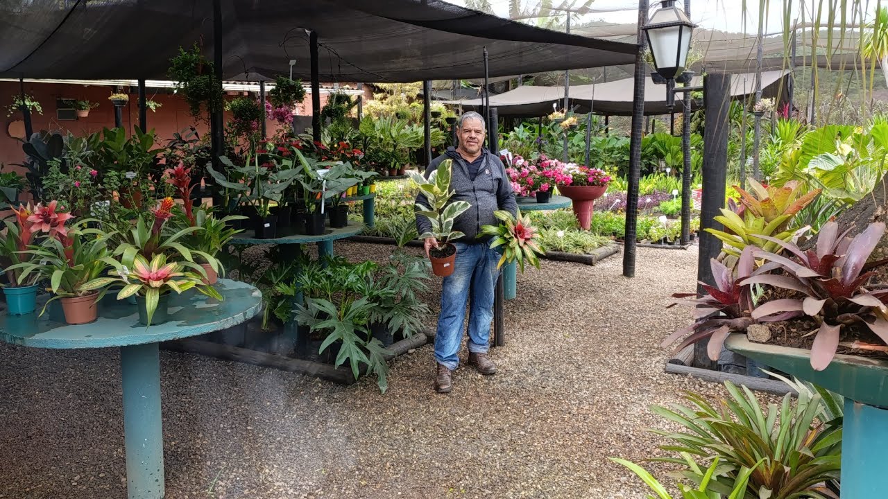 UMA PARADA CASUAL  NE UMA FLORICULTURA DE REQUINTE. O NOME JA DIZ TUDO (BIG PLANTAS) 🌺🌵🌼💐😍🙏💪🫵🫶