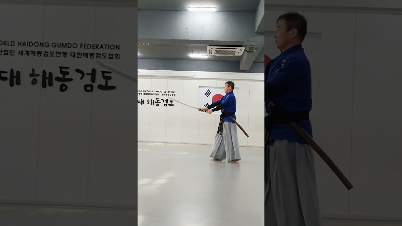 심상검법/신대해동검도