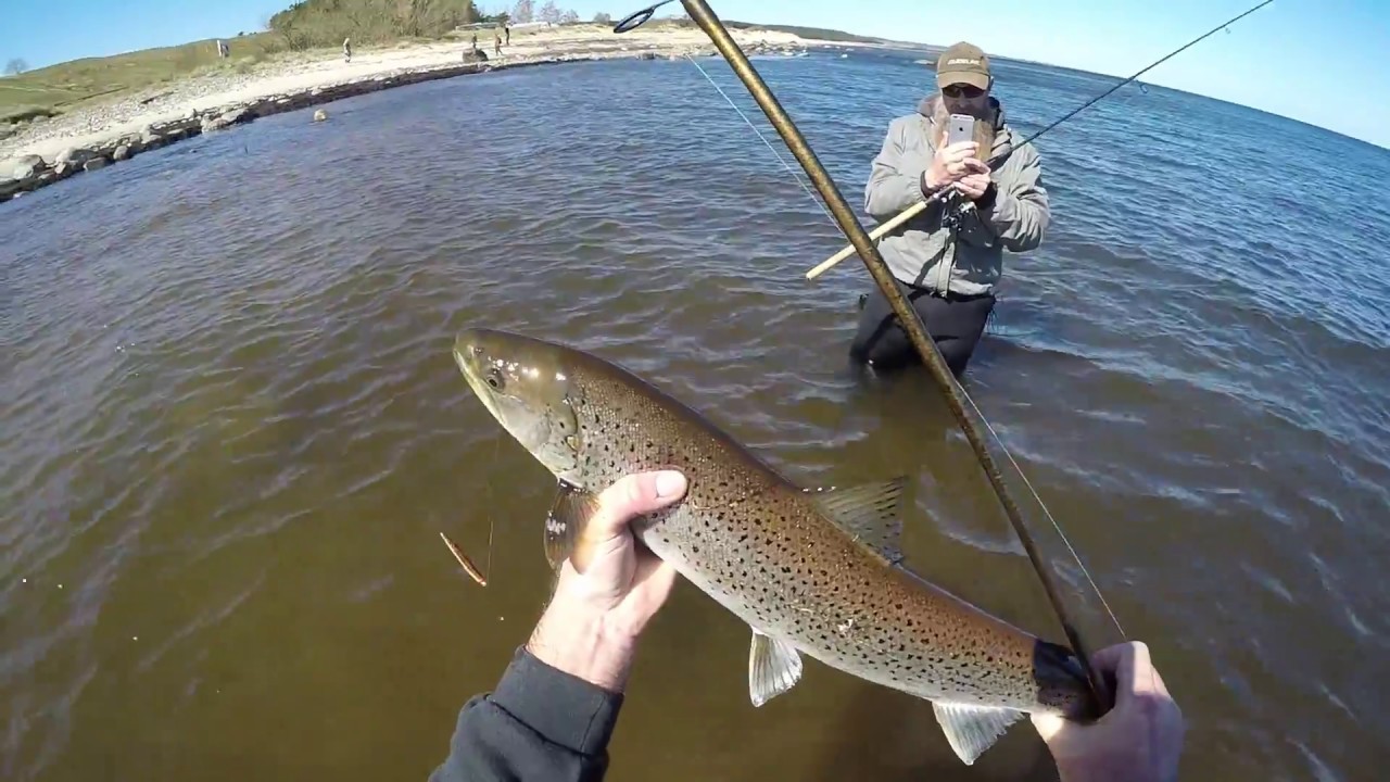 Seatrout fishing -  Havsöringsfiske 21 april 2018  Kivik på Ostkusten