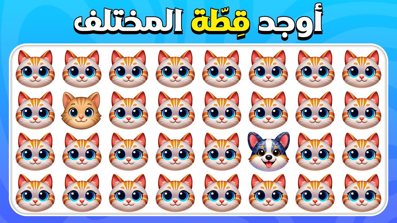 أوجد الإيموجي المختلف - نسخة الحيوانات 🐭🐶😾 | سهل، متوسط، صعب - ٣٠ مستوى نهائي |  المسابقة نحلة