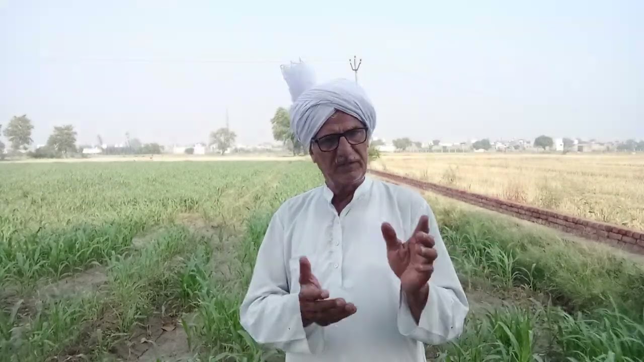 मर्द के उजाड़े हुए घर को एक साहसी औरत ने फिर से बसा कर अपने बेटे को कैसे कामयाब पुरुष बनाया मिसाल बन