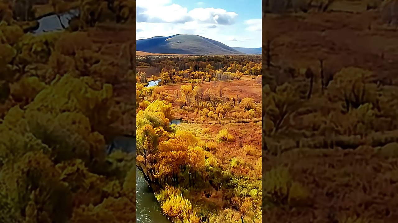 The most beautiful places in Inner Mongolia with drone  #china #chinesetravel #shorts