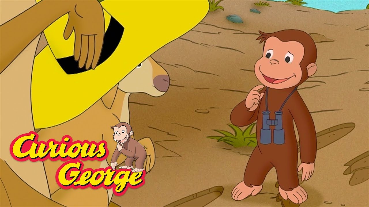 George Meets a Kangaroo!  🐵 Curious George 🐵 Kids Cartoon 🐵 Kids Movies
