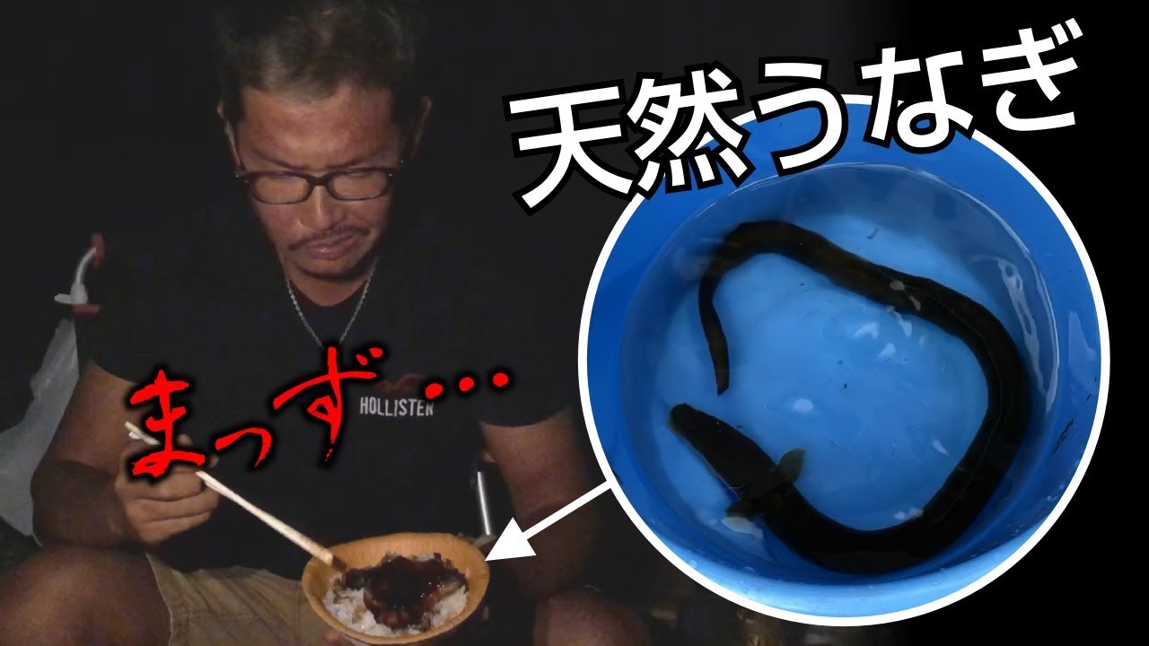 釣ったウナギが不味かった。なんで？