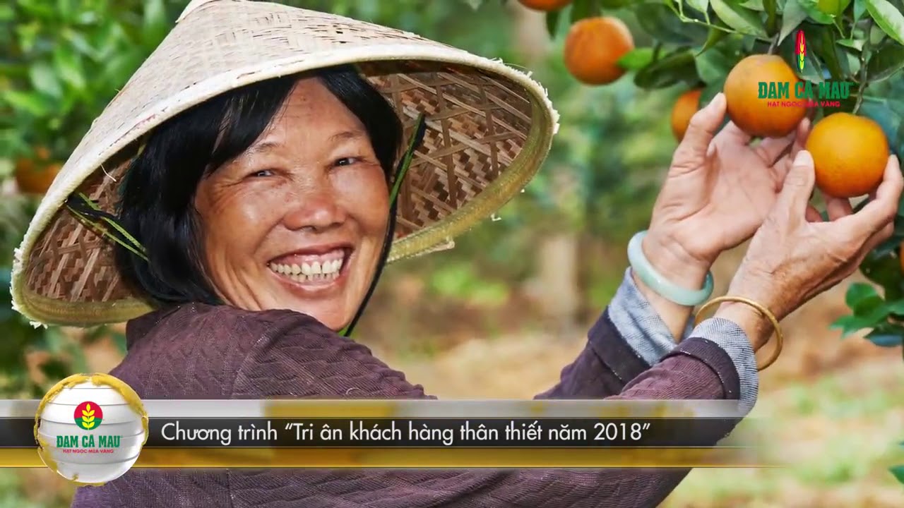 PVCFC NEWS QU&Yacute; III-2018
