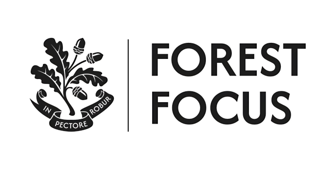 AI and Teaching & Learning at Forest