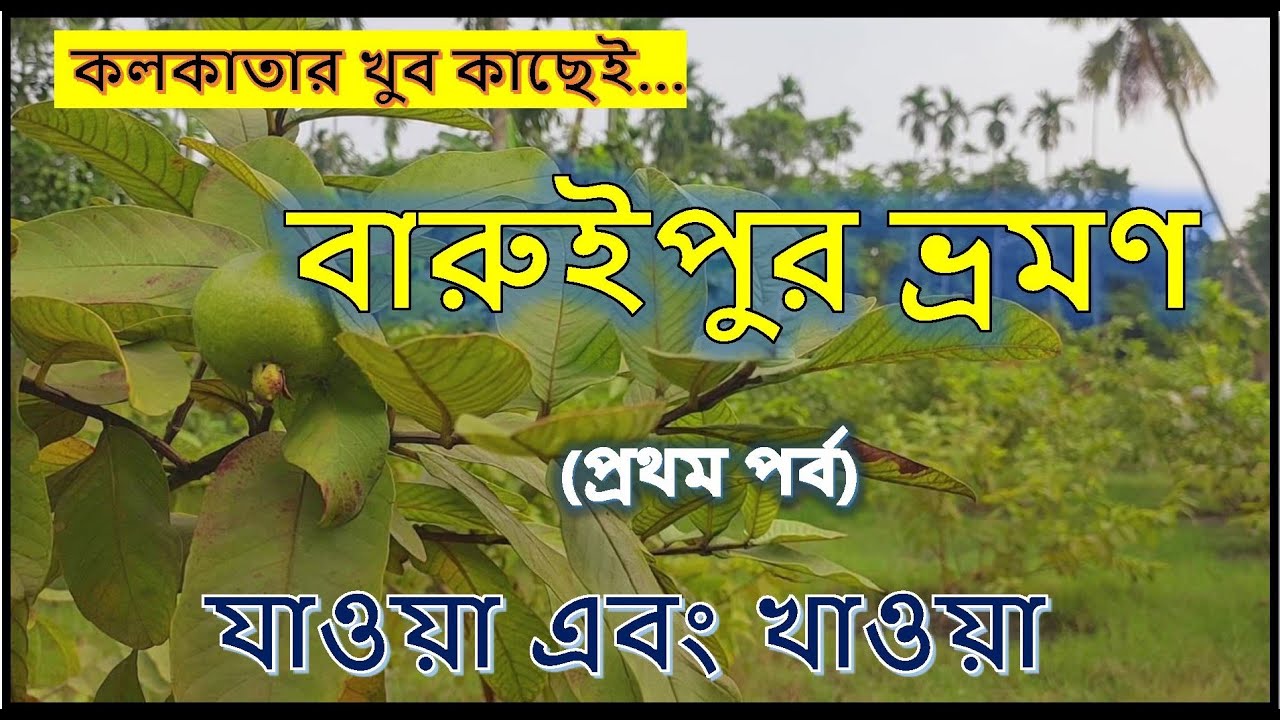 বারুইপুরে বেড়ানো (১ম পর্ব), কলকাতার কাছেই দারুণ ভ্রমণ।। যাওয়া এবং খাওয়া।। Jaoa Ebong Khaoa Baruipur