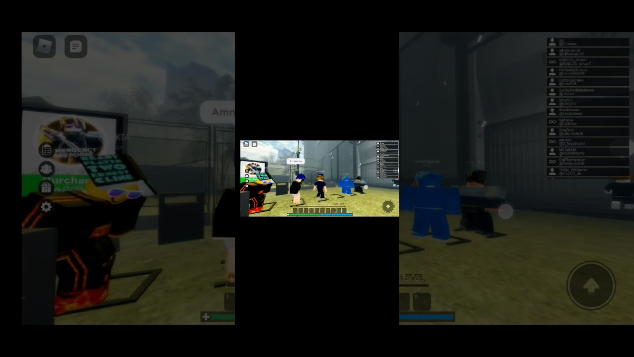 Sebee pro border gameplay (met sebee)