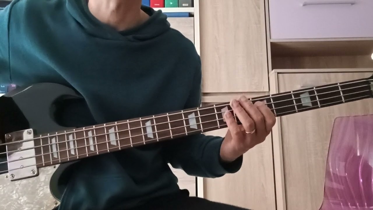 Summer of 69 by Bryan Adams - Bass cover (Epiphone eb3 version)