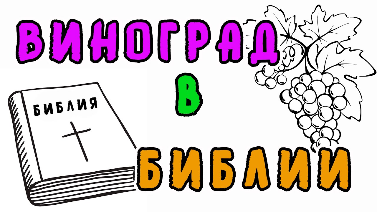 Библия детям: ЧТО ГОВОРИТ БИБЛИЯ О ВИНОГРАДЕ?