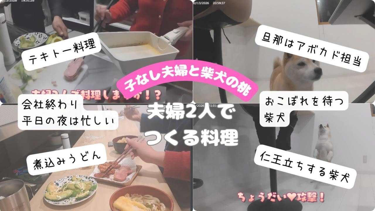 【おもしろ夫婦】チョリソーとアルトバイエルンで揉める夫婦と仁王立ちする柴犬　＃柴犬　＃おもしろい犬　＃子なし夫婦の日常