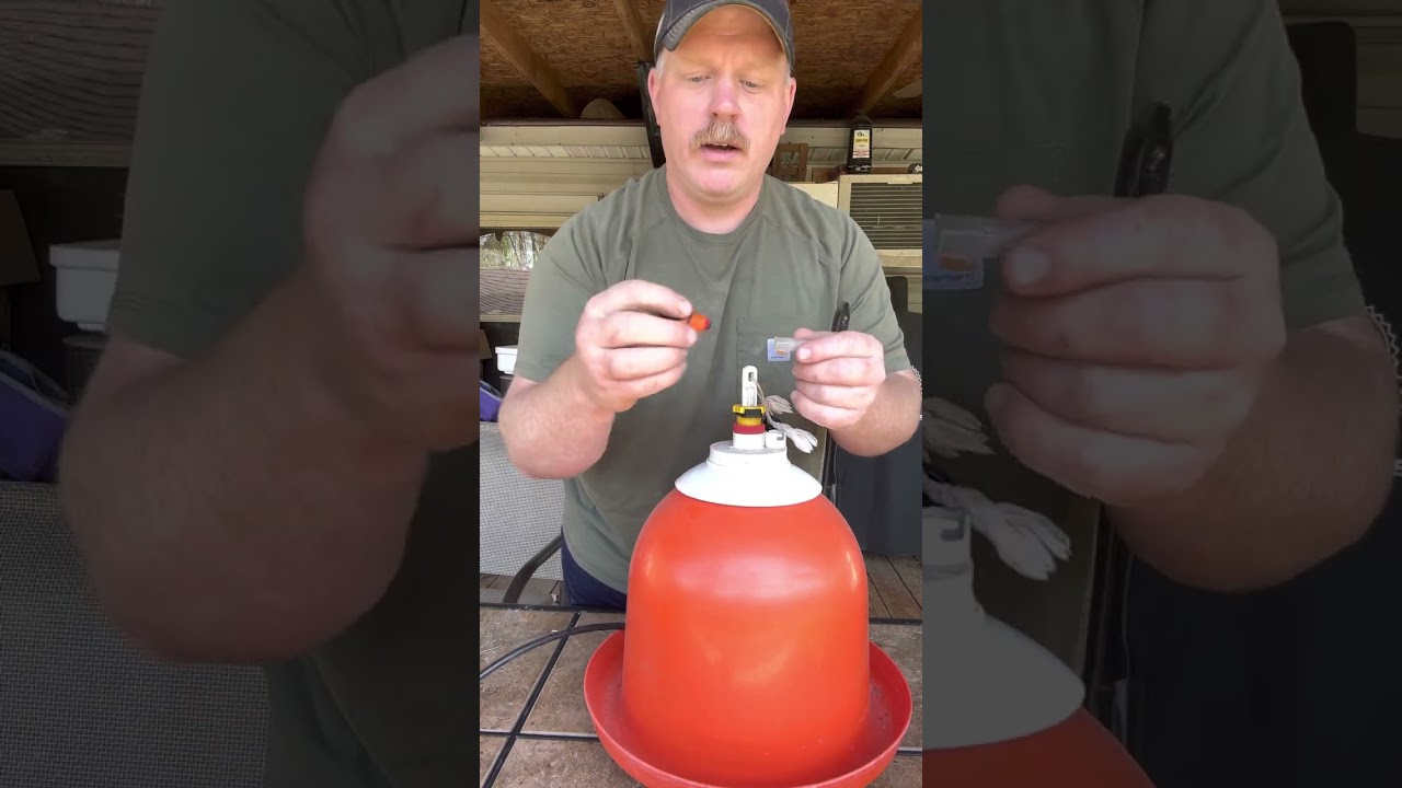 Automatic chicken waterer comparison