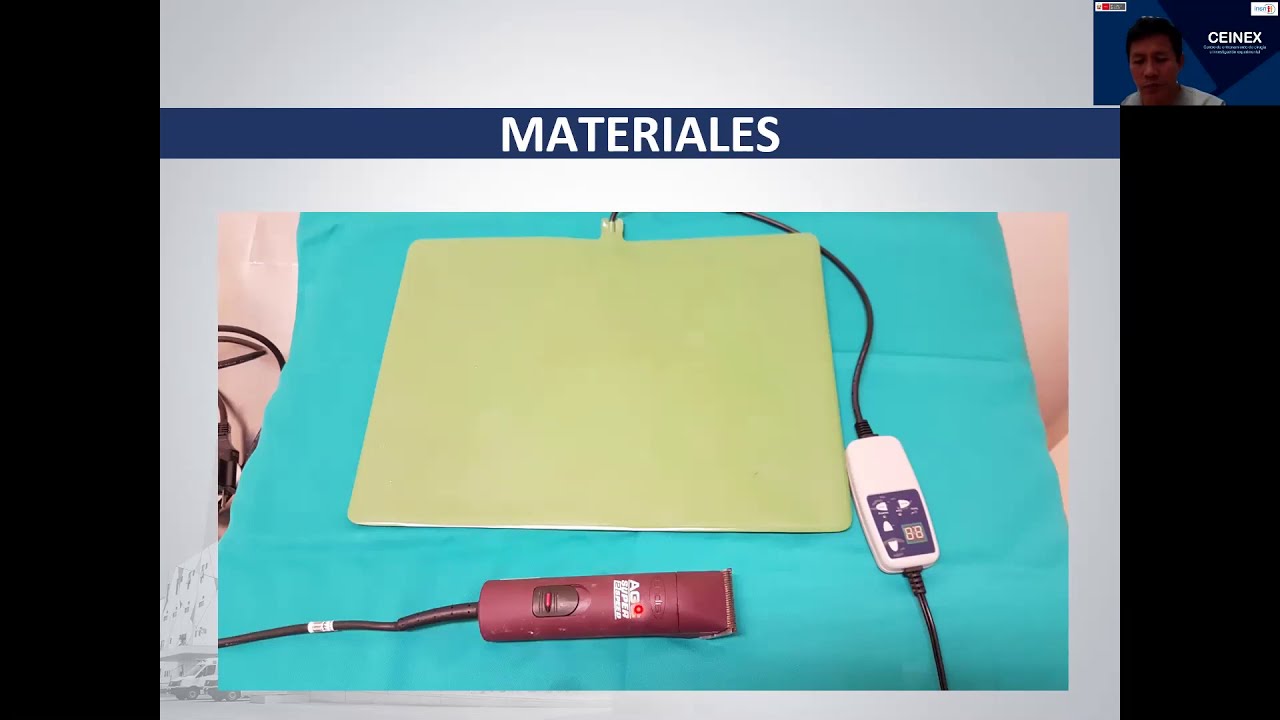Clase 06 - Anestesia en ratas de experimentación (Rata Albina)