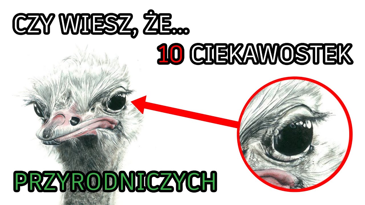 10 ciekawostek przyrodniczych. Czy wiesz że?... Część.1