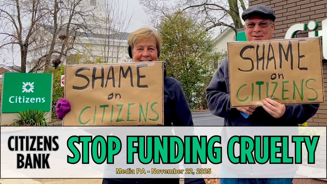 Citizens Bank Stop Funding Cruelty - Media PA