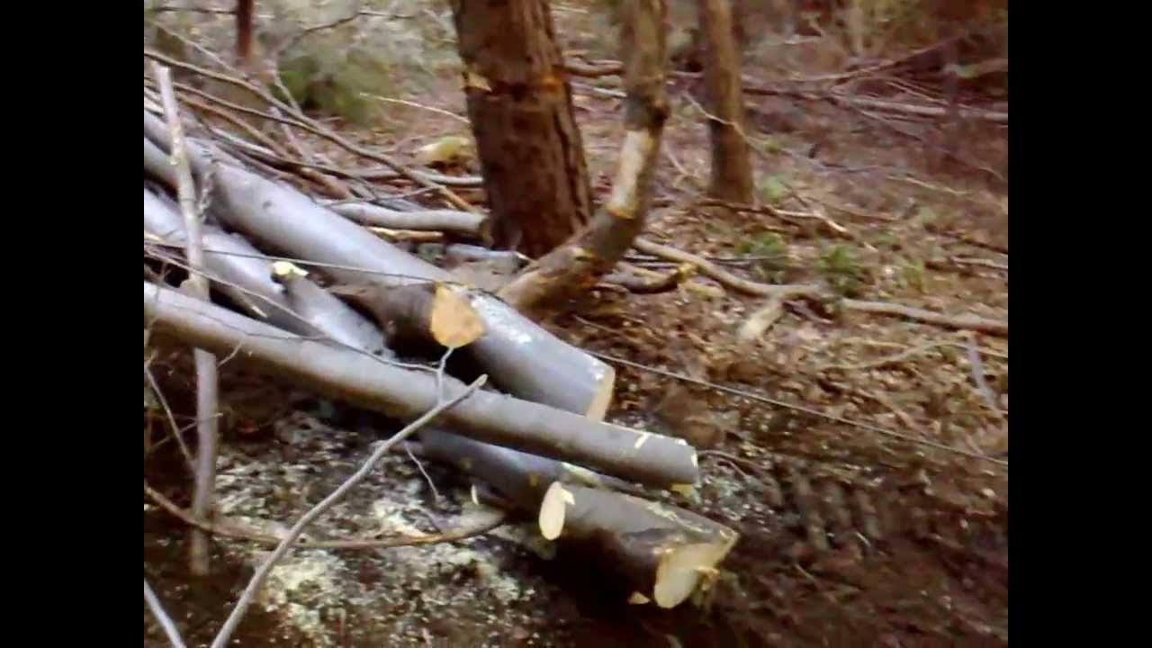 Skidder własnej konstrukcji