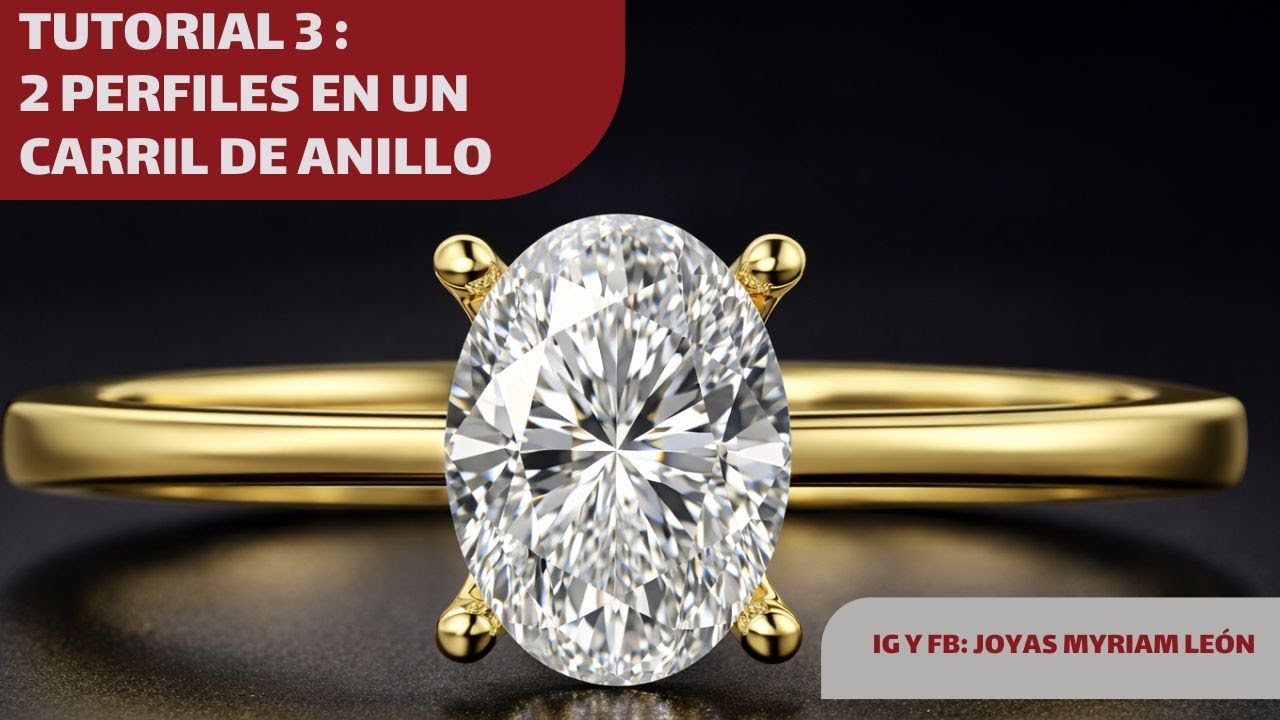 TUTORIAL 3 - DOS PERFILES EN UN CARRIL DE ANILLO