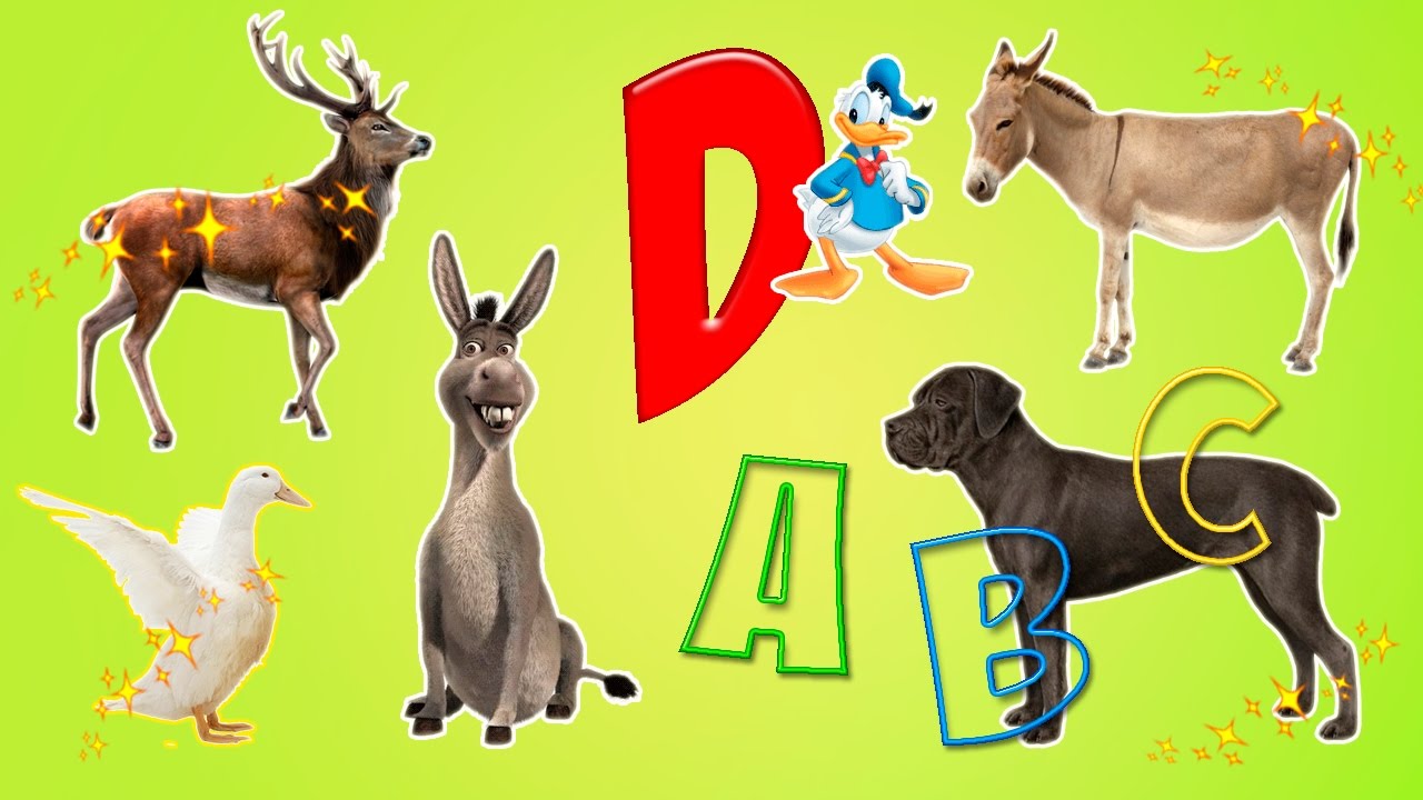 Learn Alphabet With Cartoon Animals For Children | ABC  Letter D