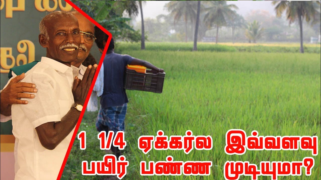 1 1/4 ஏக்கர்ல இவ்வளவு பயிர் பண்ண முடியுமா? தமிழர் வேளாண்மை  ஞானப்பிரகாசம் | Tamilar velanmai