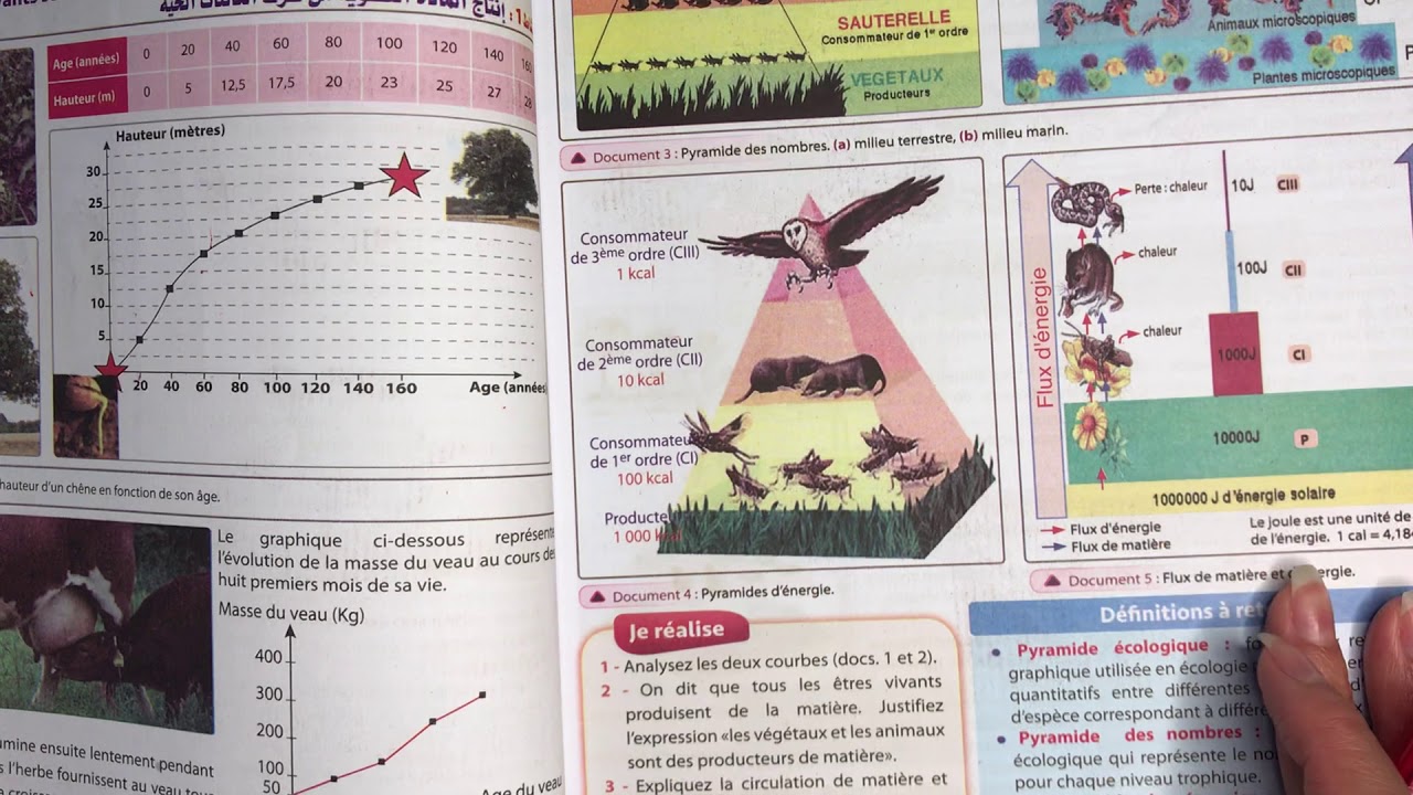 Univers+ SVT 1AC. Chap4, Séq2: Relation alimentaires. La production de la matière et flux d'énergie.