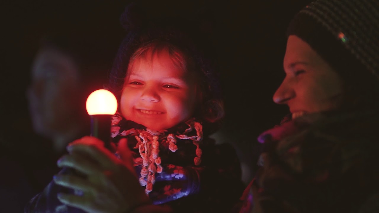 Signal Festival 2019 (official video)