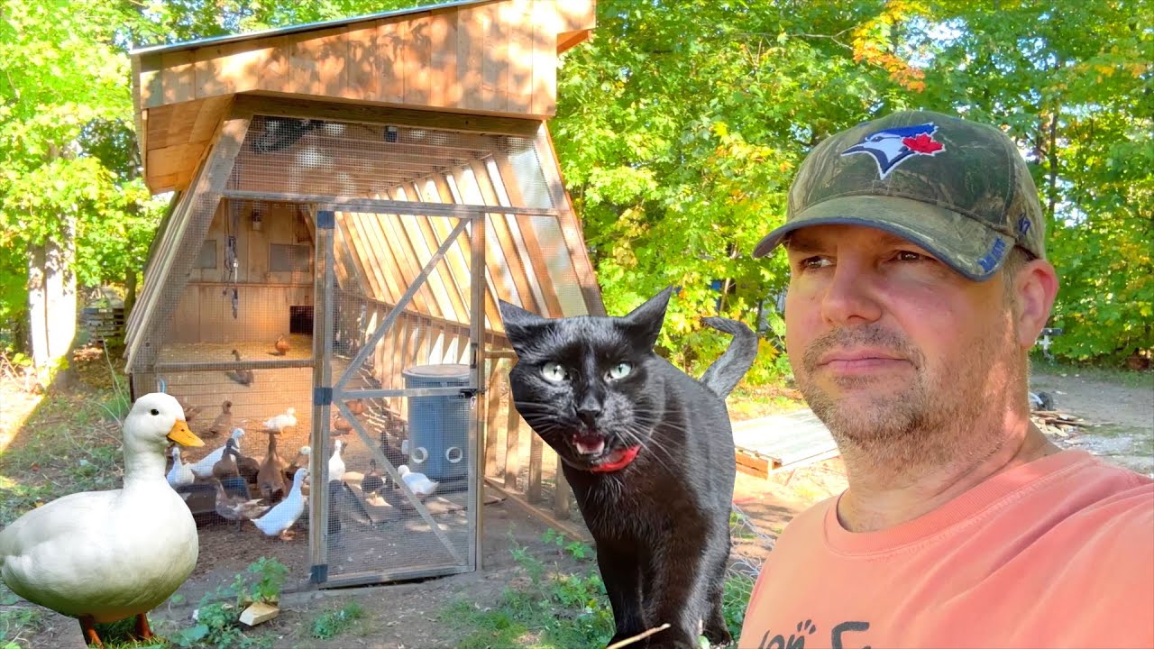 Исправление ошибки при сборке Duckie Bunkie
