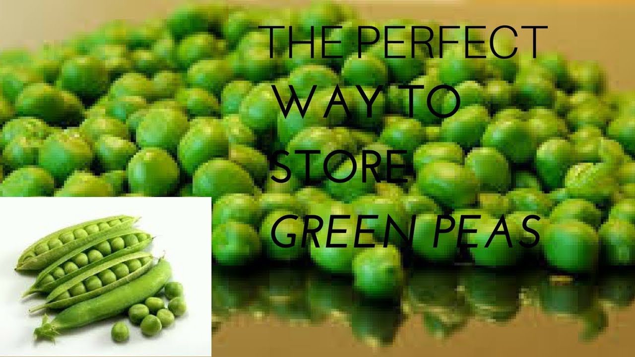 HOW TO STORE GREEN PEAS FOR SUMMERS