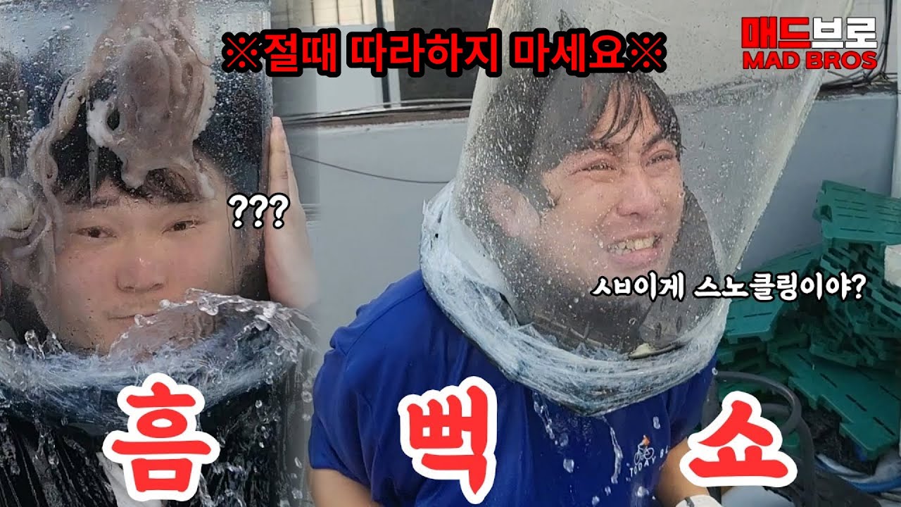 집에서 즐기는 미친 스노클링 🚫절대따라하지마세요🚫 (feat.매드브로)