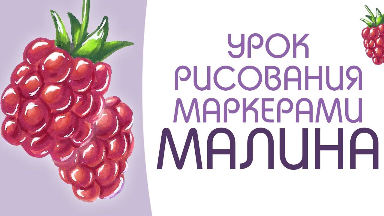 урок по рисованию ягод спиртовыми маркерами COPIC