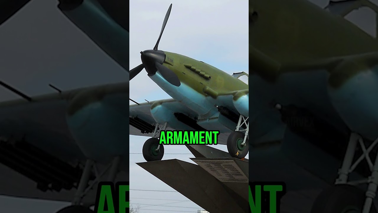 Why Il-2 pilots never fired their guns?